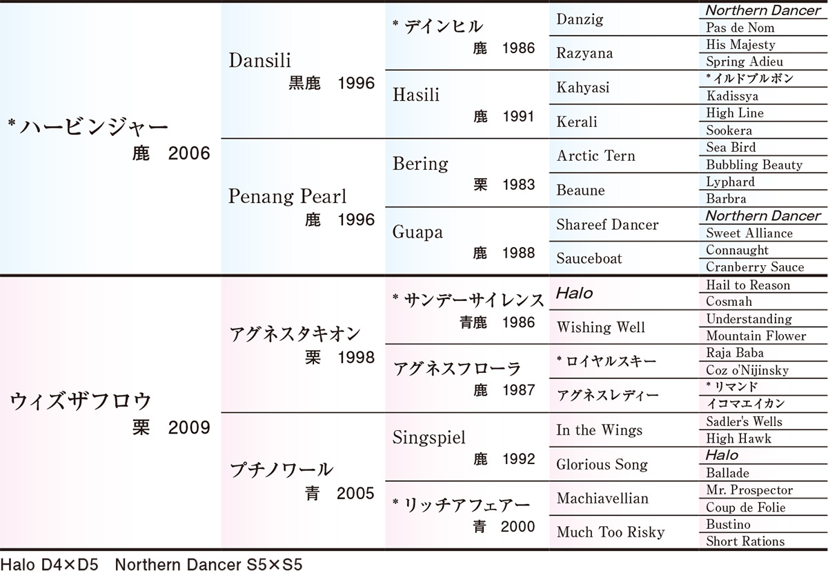 Pedigree - 五代血統表