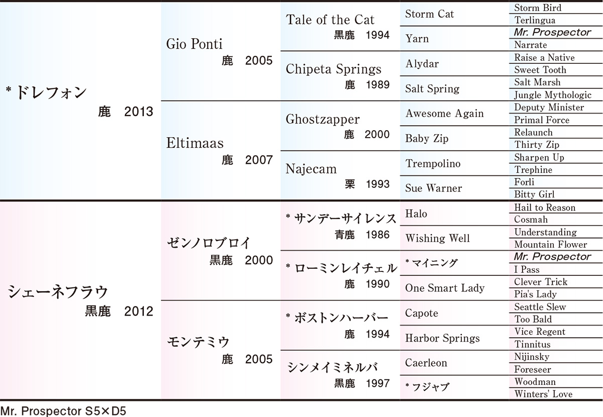 Pedigree - 五代血統表