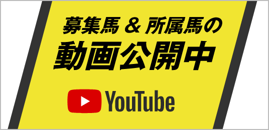 罸ϡ°Ϥư Youtube