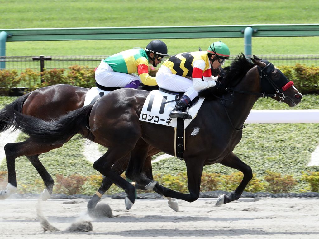 あなたの馬の血統を見つける方法