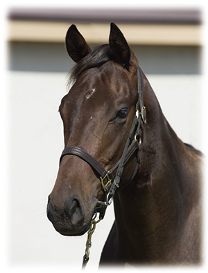 �������ݡ����2016