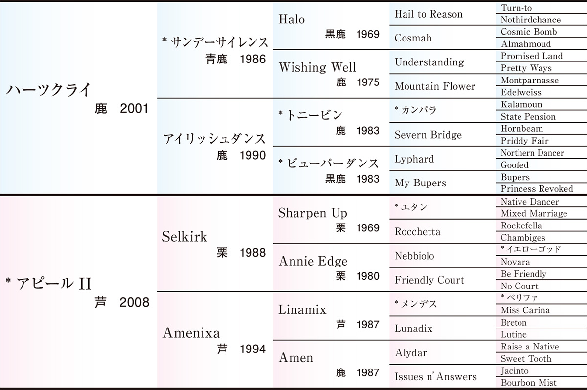 サラブレッドクラブライオン アピール の18
