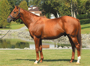 ������ϥ����ʥ���