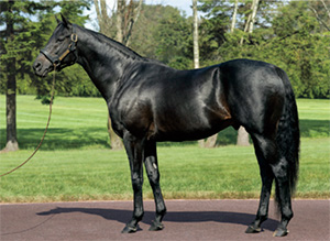 ��������ե�å���