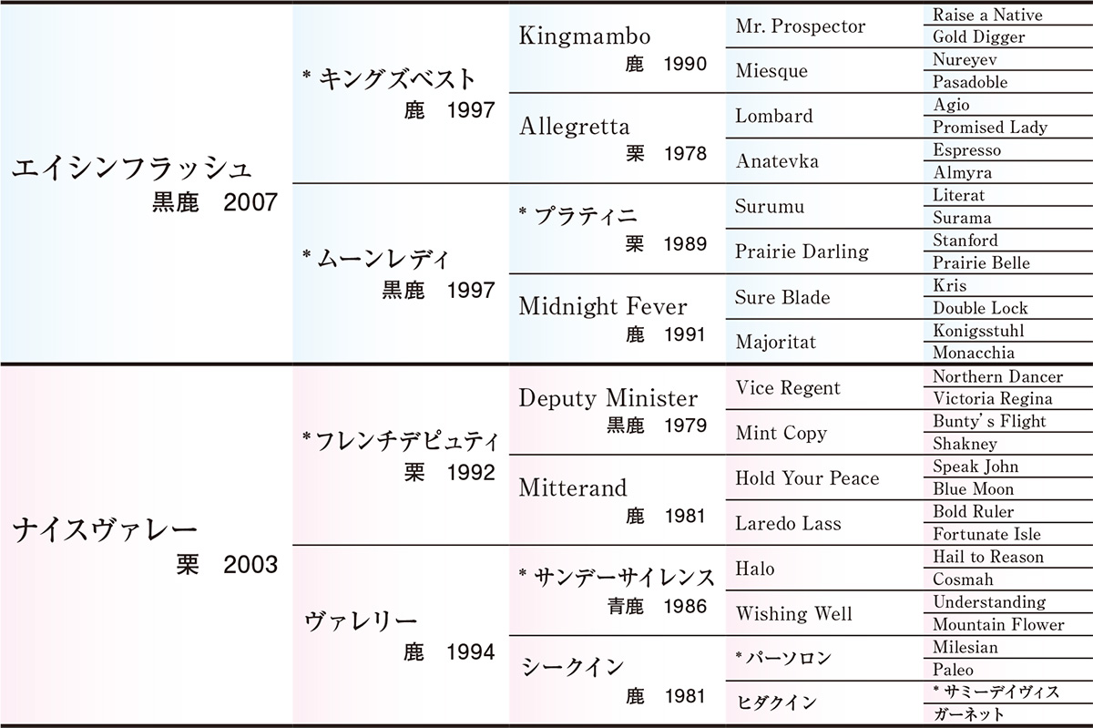 サラブレッドクラブライオン ナイスヴァレーの18