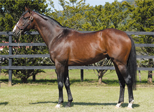 �ե��������֥�