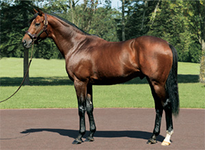 ���ԥ�С���