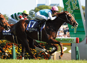 ���ɥޥ���ޡ���