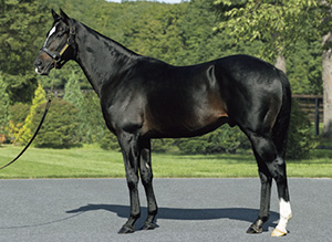 �ϡ��ĥ��饤