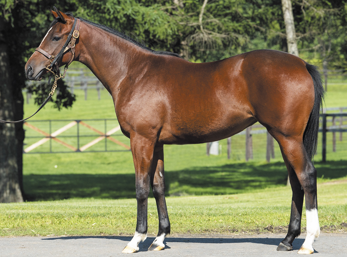 �٥åȡ����2019