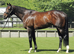 ���ȥΥ��饸��