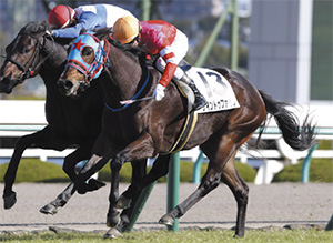 �ʥ���ȥ��ե�����