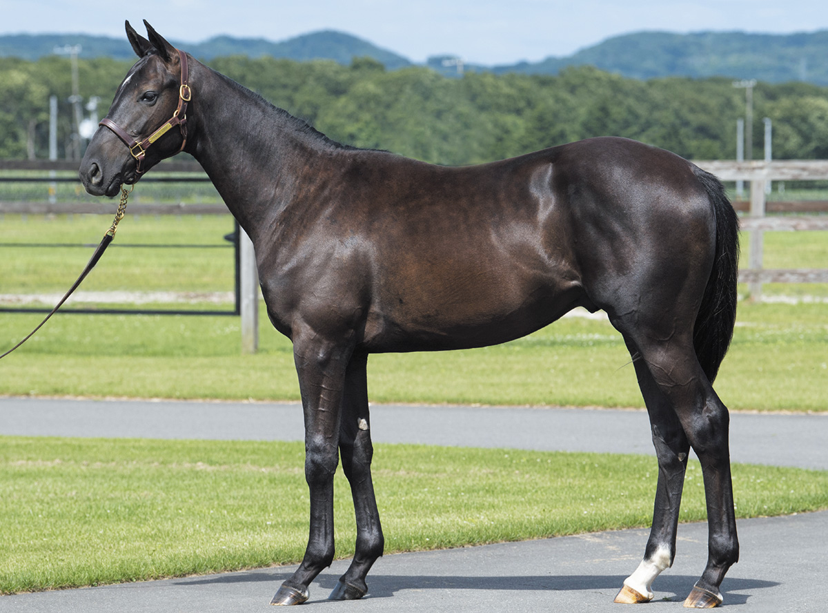 ����ƥߥ��ϡ��Ȥ�2019