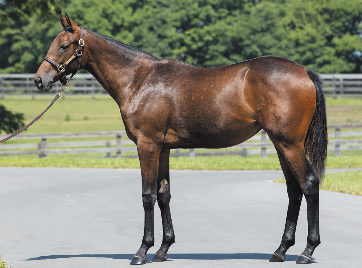 ���饦��ץ�󥻥���2019