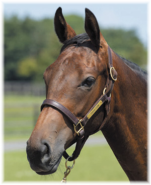 ���饦��ץ�󥻥���2019