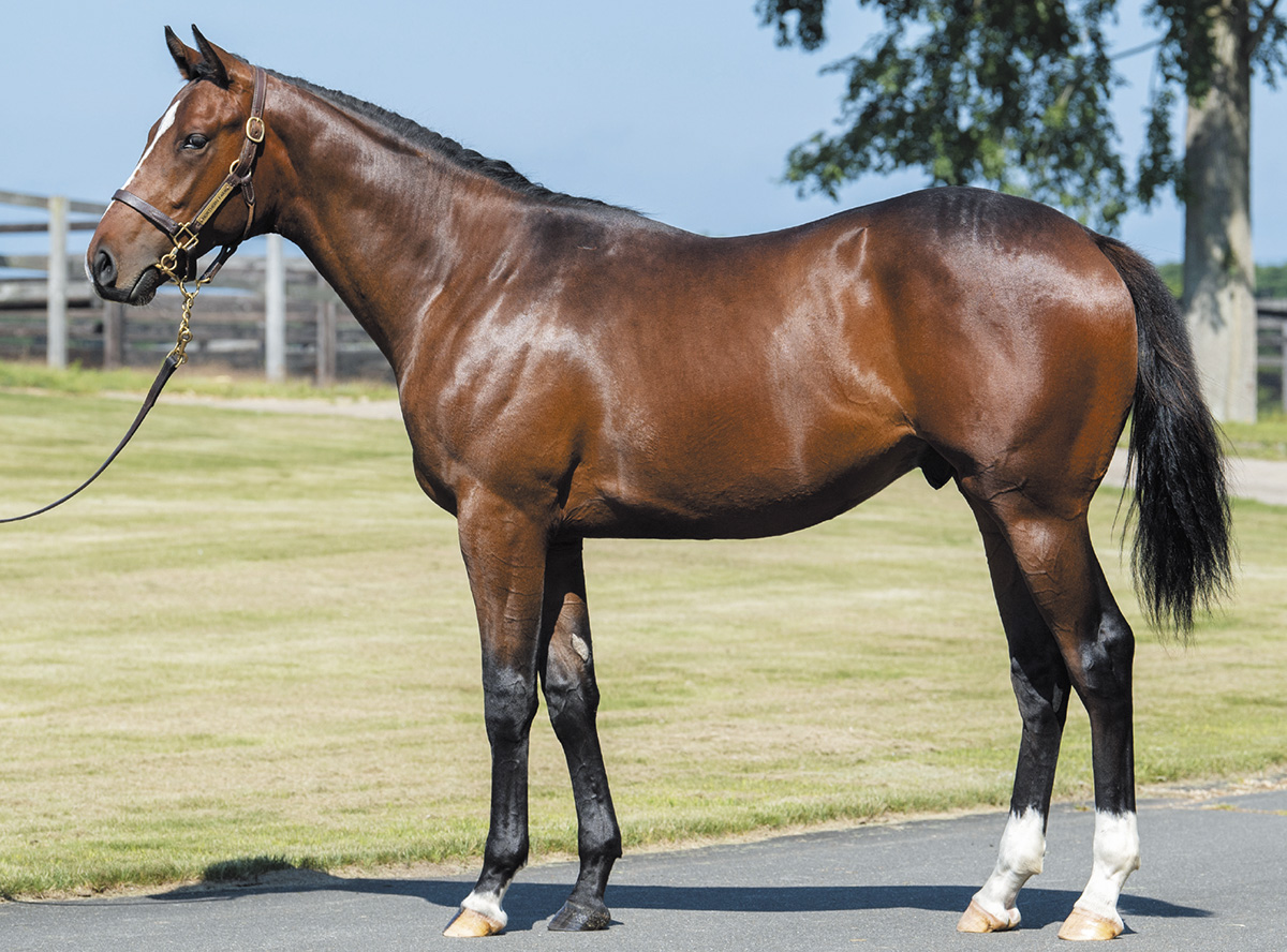 �ҥ������ȥ����祦��2019