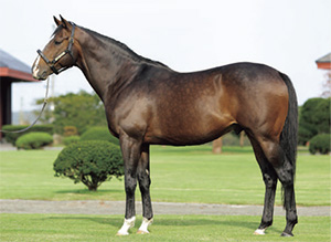 �ȡ����󥸥硼����