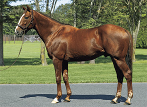 ������᥸�㡼