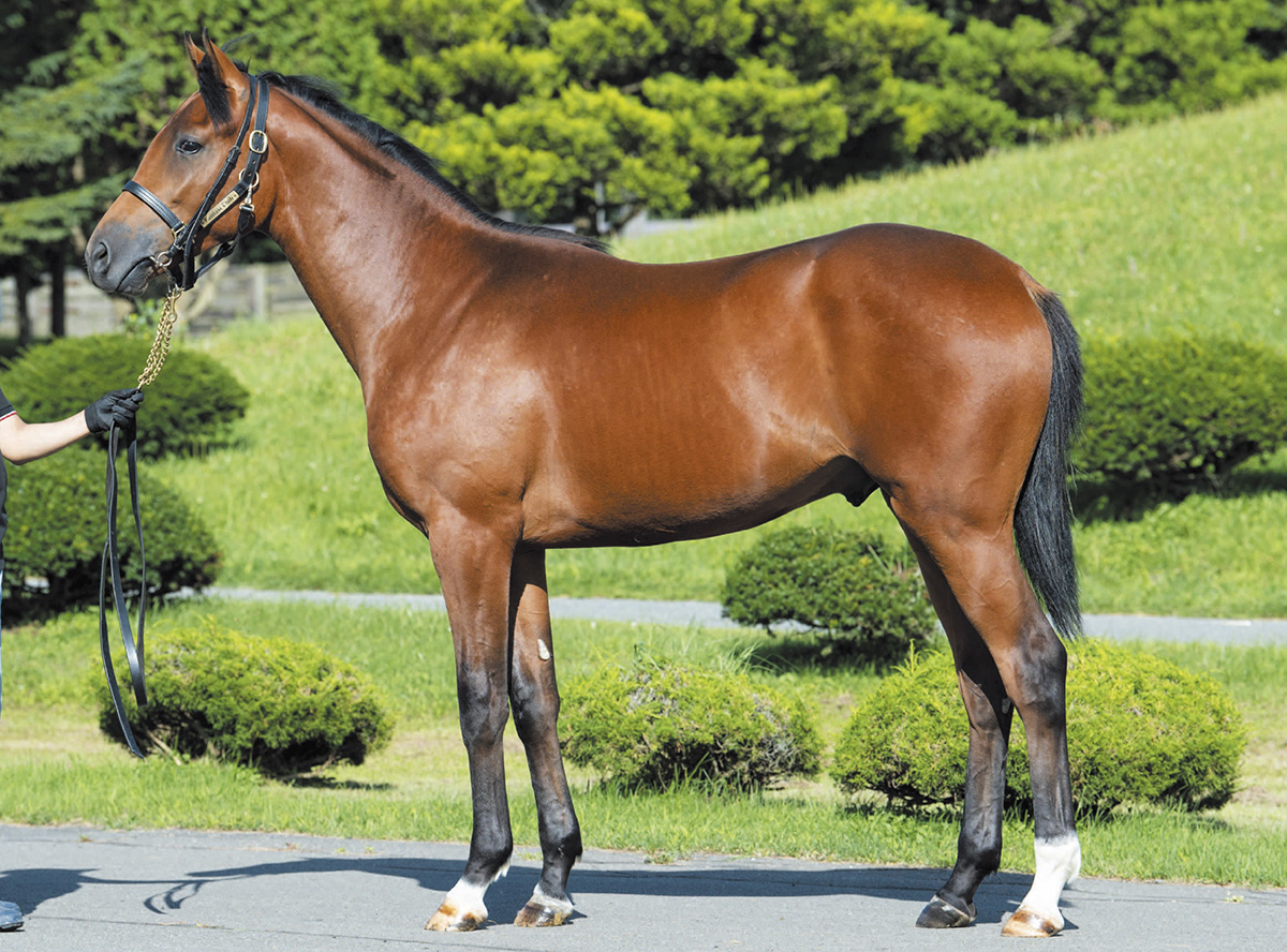 �����������2019