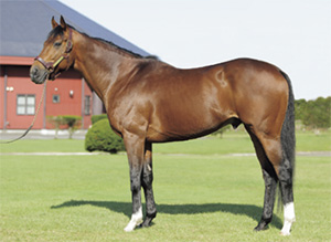 �ǥ����ץ֥����