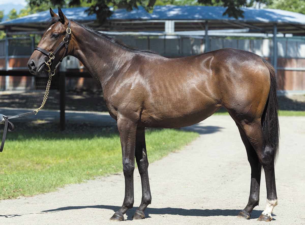 �ƥ��������٥꡼��2019