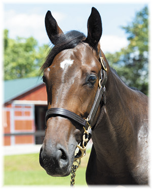 �ƥ��������٥꡼��2019