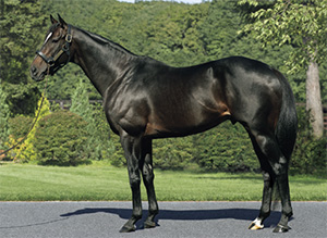 ��������֥�å�