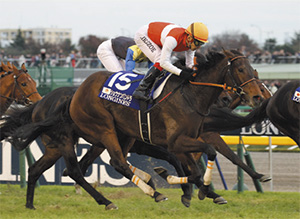 ���祦�ʥ�ѥ�ɥ�