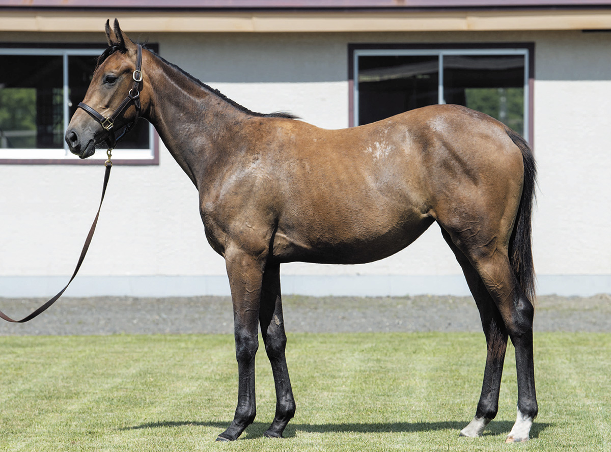 �ȥ�ȥ��С���2019