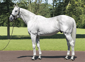 �����ե�