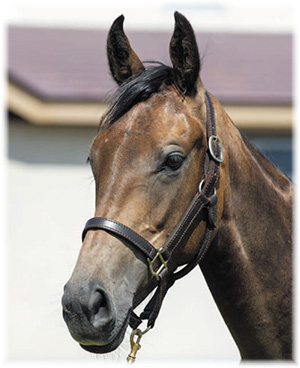 �ȥ�ȥ��С���2019