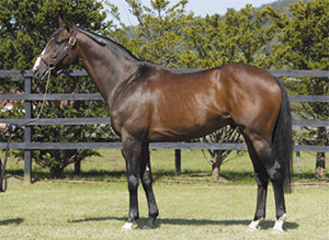 �ե��������֥�