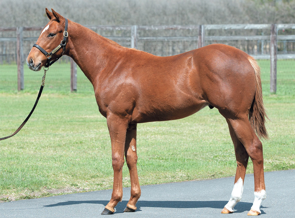 �������ȥ饸����2021