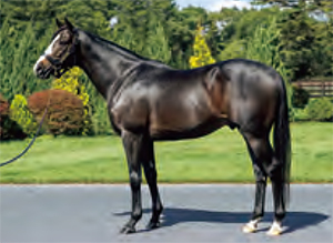 �֥�å�������ɥ�륿��