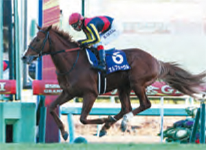 ����ե�������