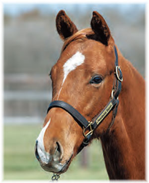 �������ȥ饸����2021