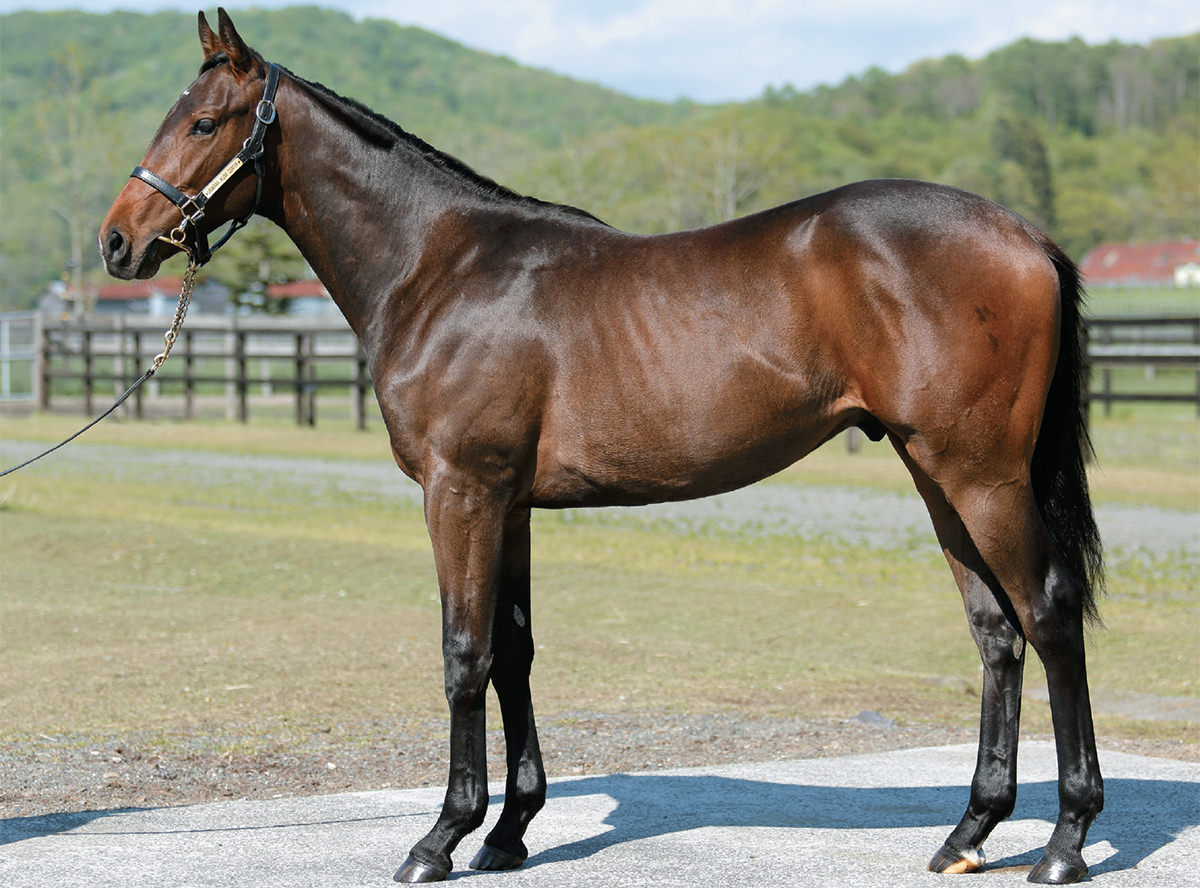 �ݥ�ͥ�������2021