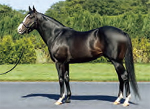 ������ܥˡ���