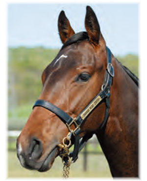 �ݥ�ͥ�������2021