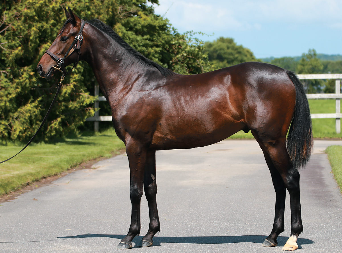 ���ǥ���������2021