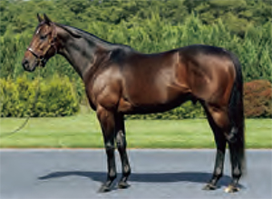 �쥤�ǥ���