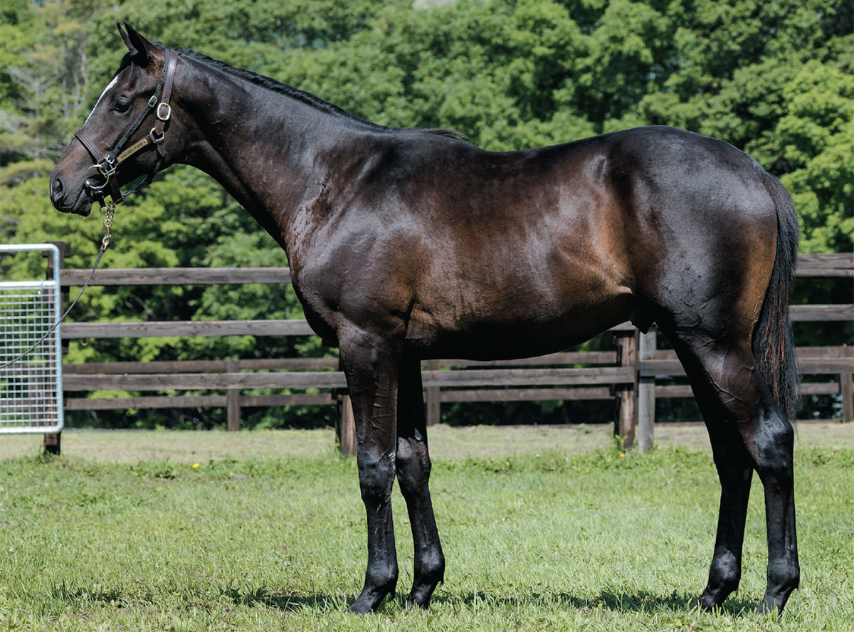 ��ӥ륭���2021