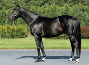 �ꥢ�륹�ƥ�����