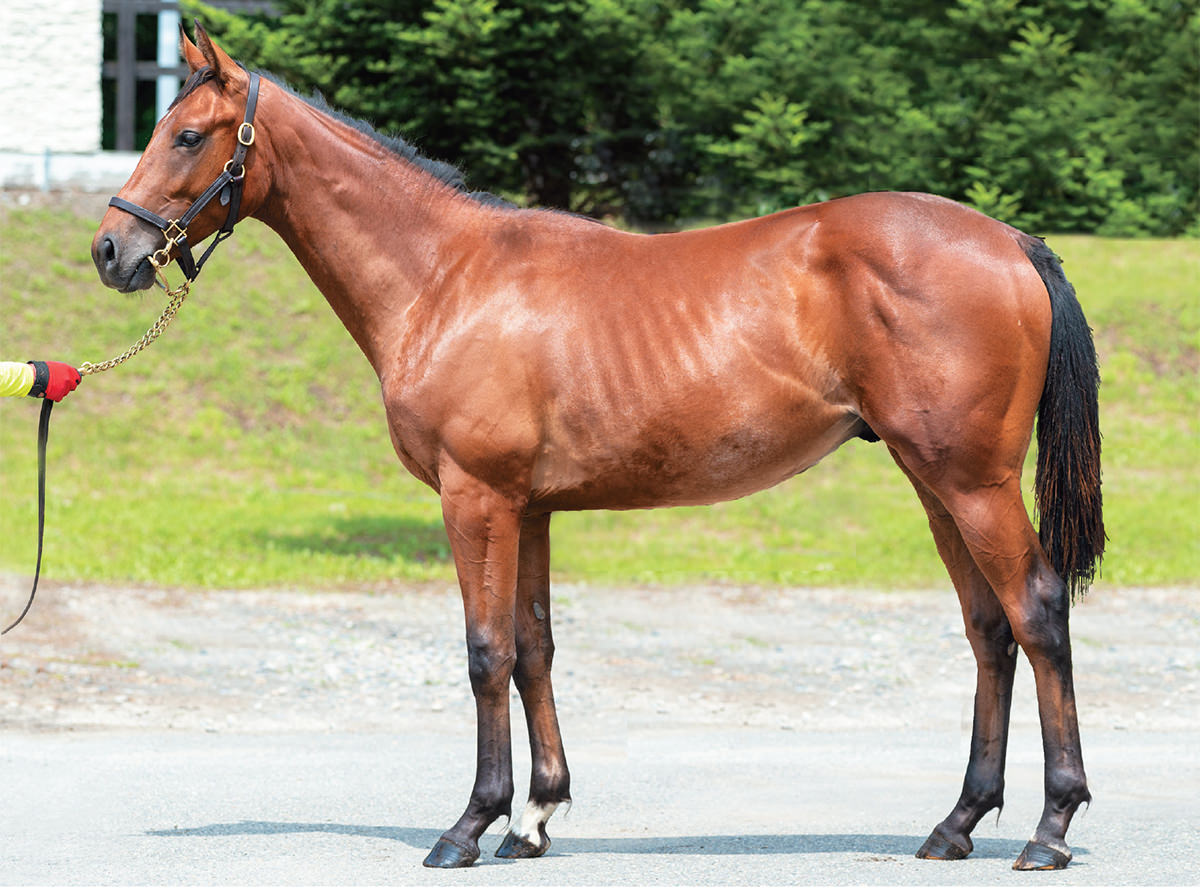 �����ɥ�����2021