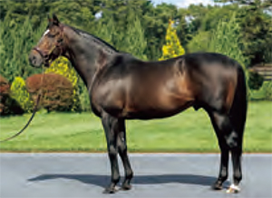 ���ԥե��ͥ���