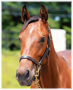 �����ɥ�����2021