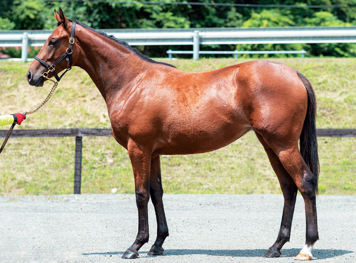 �ƥ��������٥꡼��2021