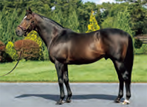 ���ԥե��ͥ���