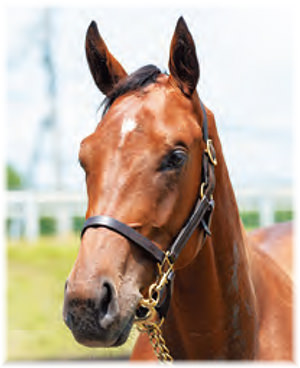 �ƥ��������٥꡼��2021