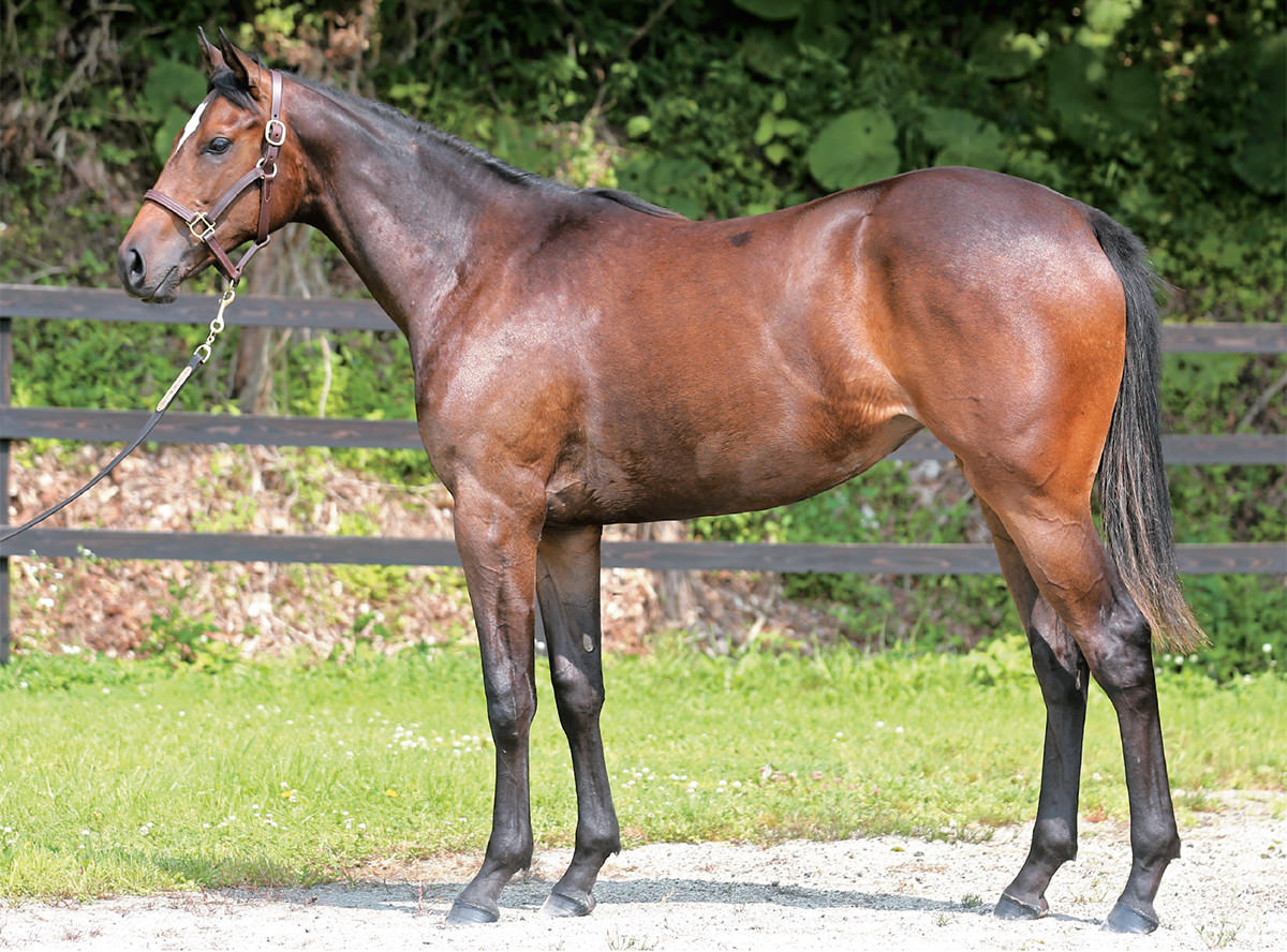 ���祦�������ץꥹ��2021